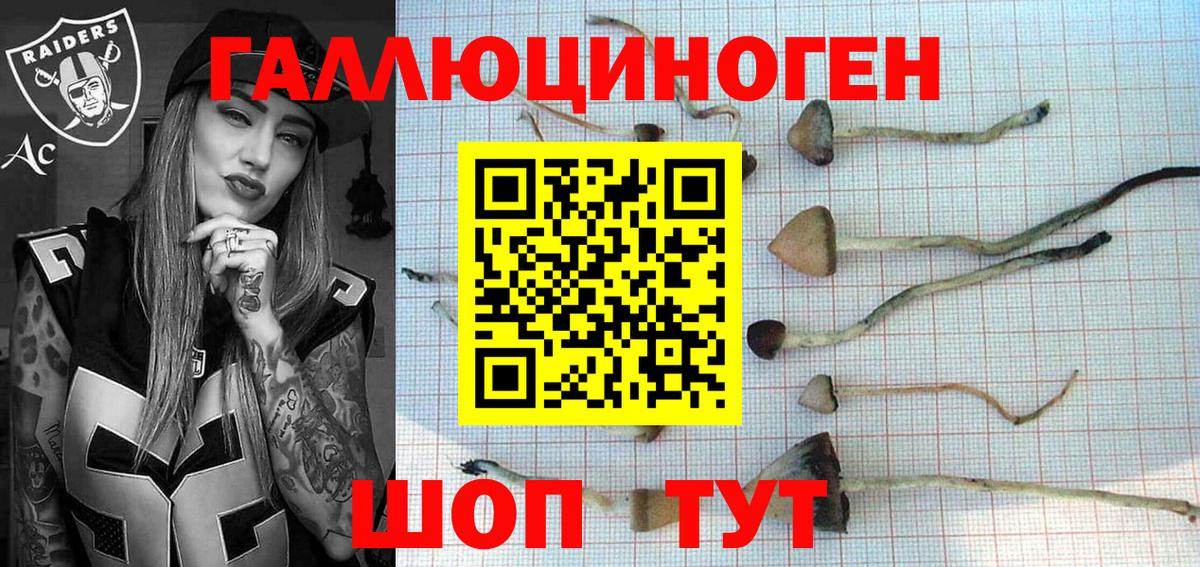 Галлюциногенные грибы Psilocybe  Вход с VPN  Сибай 